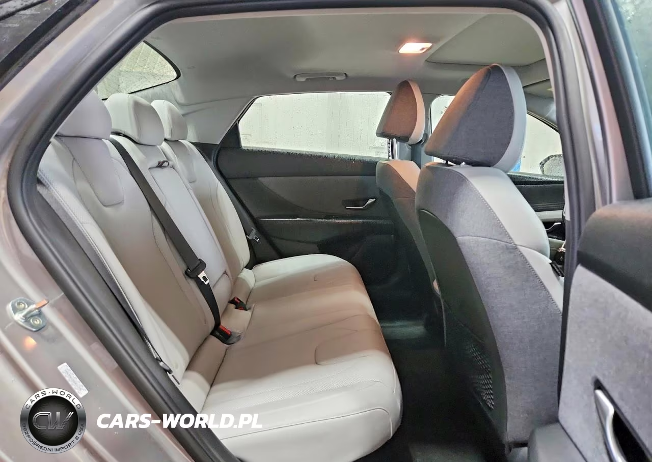 2021 Hyundai Elantra Limited VIN:KMHLN4AJ3MU011775 - 10