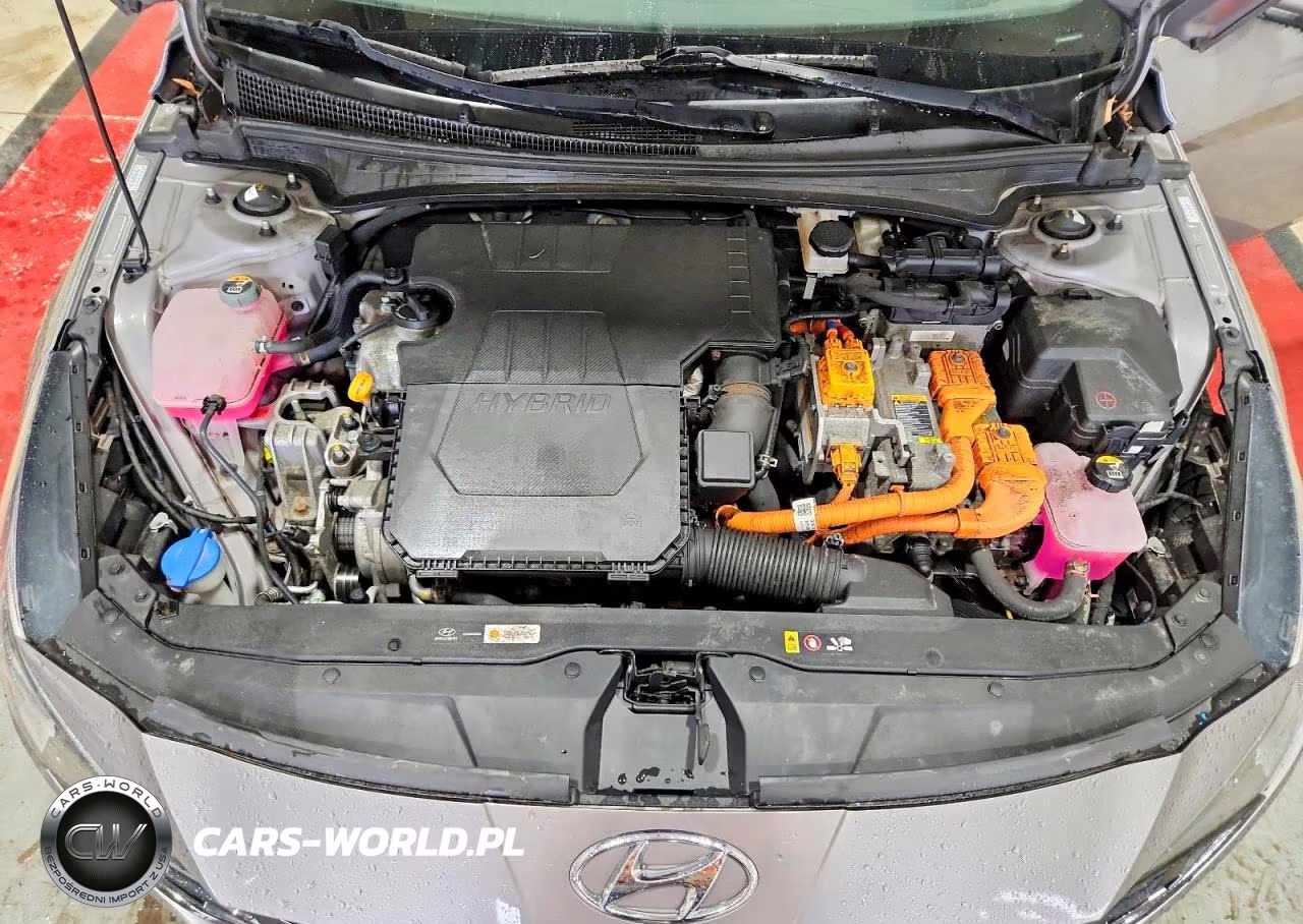 2021 Hyundai Elantra Limited VIN:KMHLN4AJ3MU011775 - 11