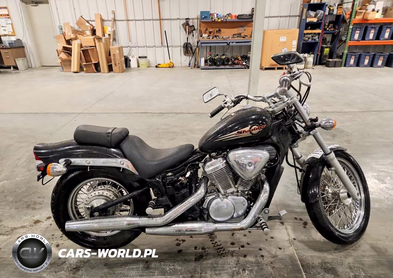 2001 Honda Vt600 Cd