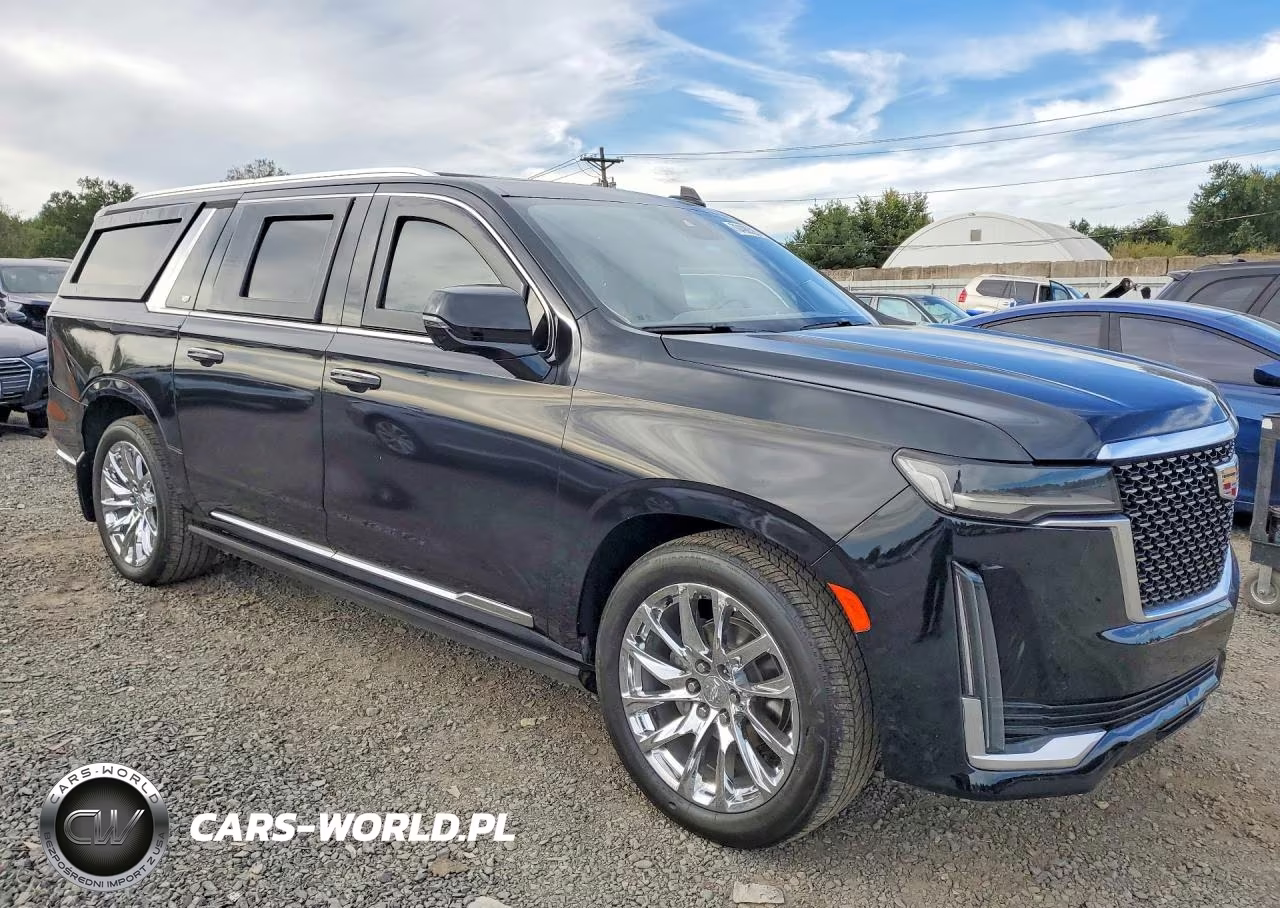 2023 Cadillac Escalade Esv Premium Luxury Platinum VIN:1GYS4MKL4PR260798 - 4