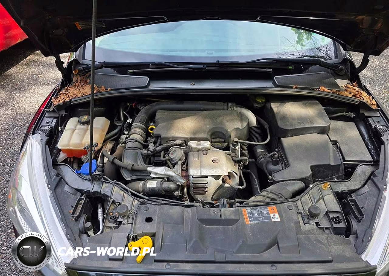 2015 Ford Focus Se VIN:1FADP3KE8FL272767 - 7