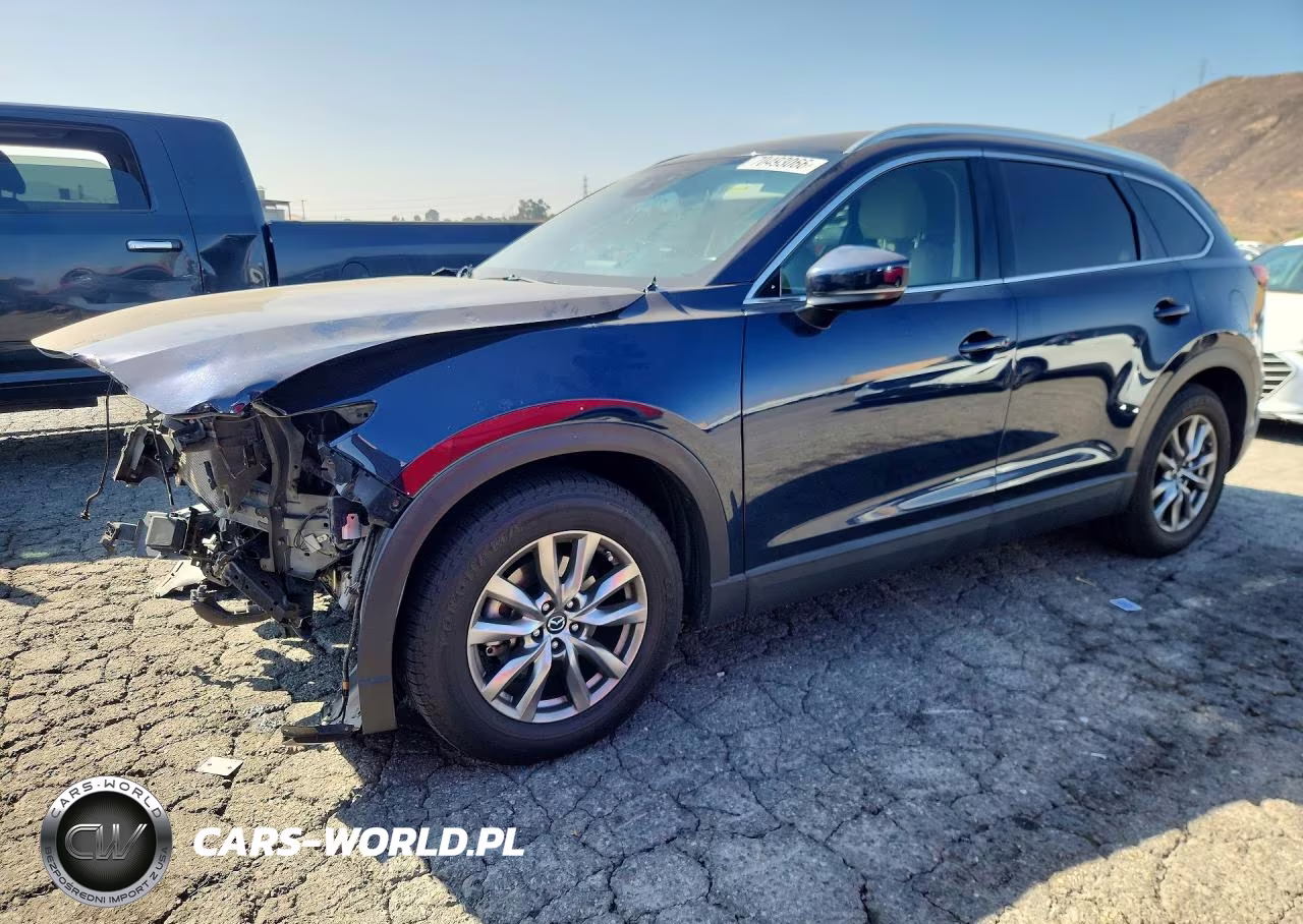 2019 Mazda Cx-9 Touring VIN:JM3TCACY1K0308610 - 1