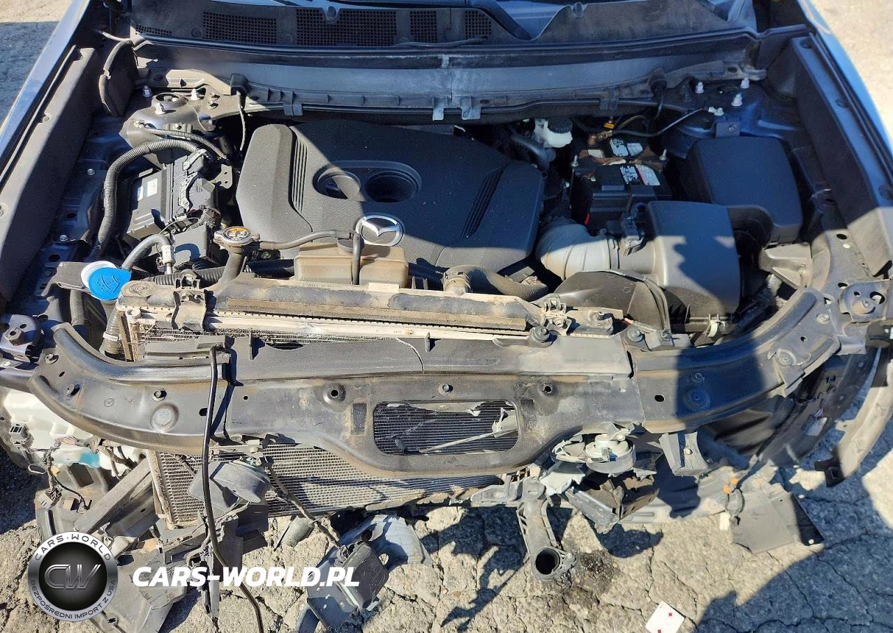 2019 Mazda Cx-9 Touring VIN:JM3TCACY1K0308610 - 12