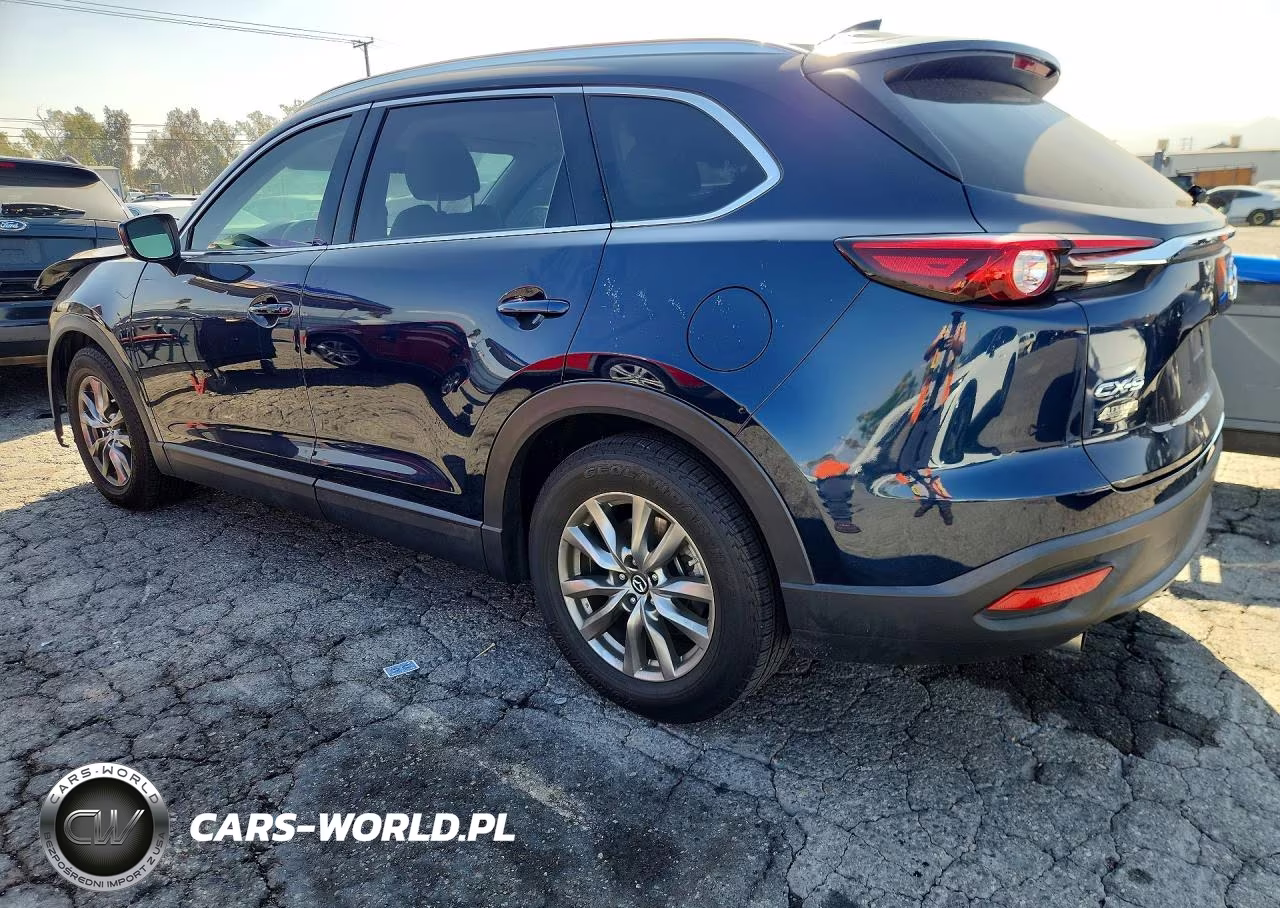 2019 Mazda Cx-9 Touring VIN:JM3TCACY1K0308610 - 2