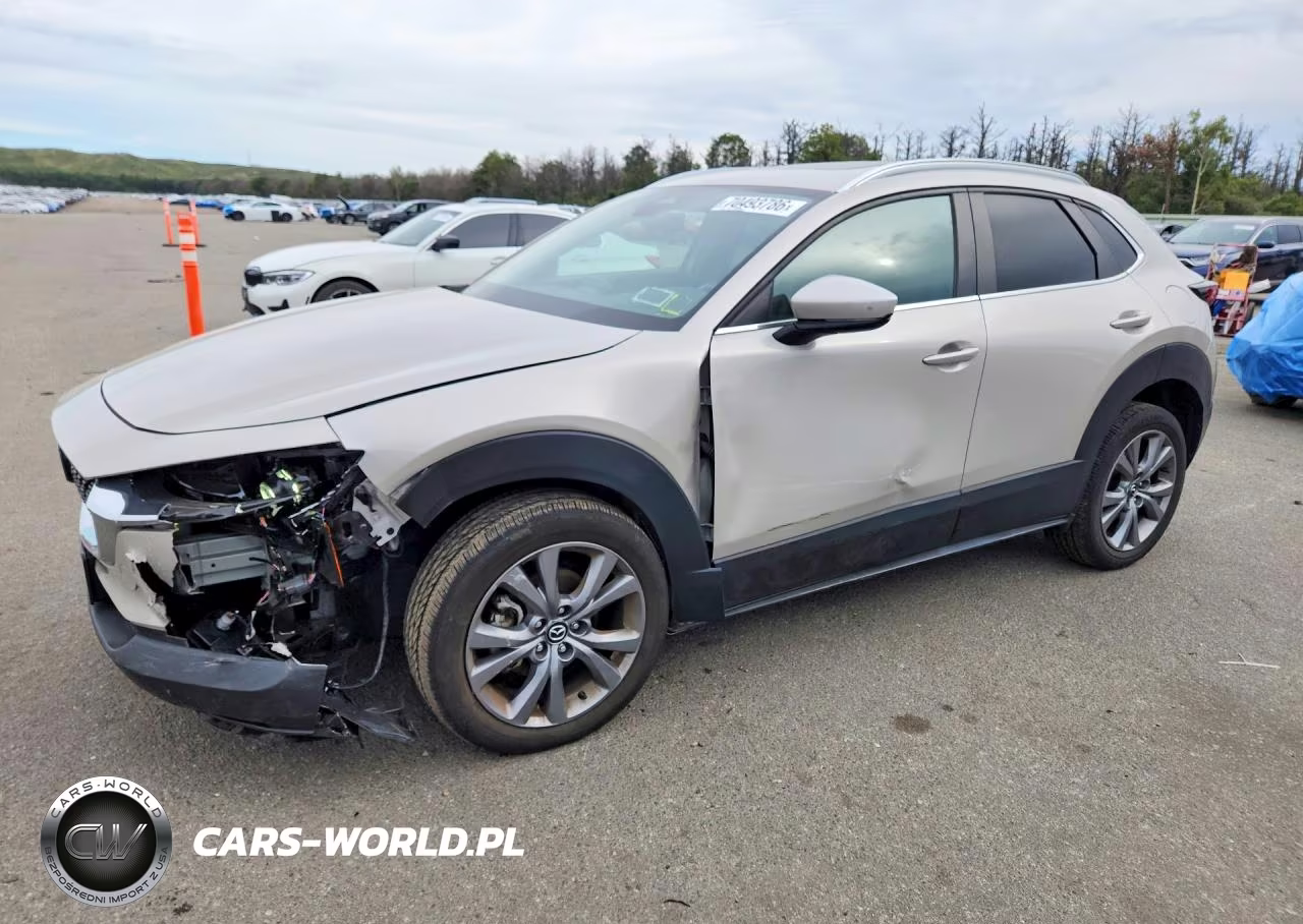 2024 Mazda Cx-30 Preferred VIN:3MVDMBCM1RM712199 - 1