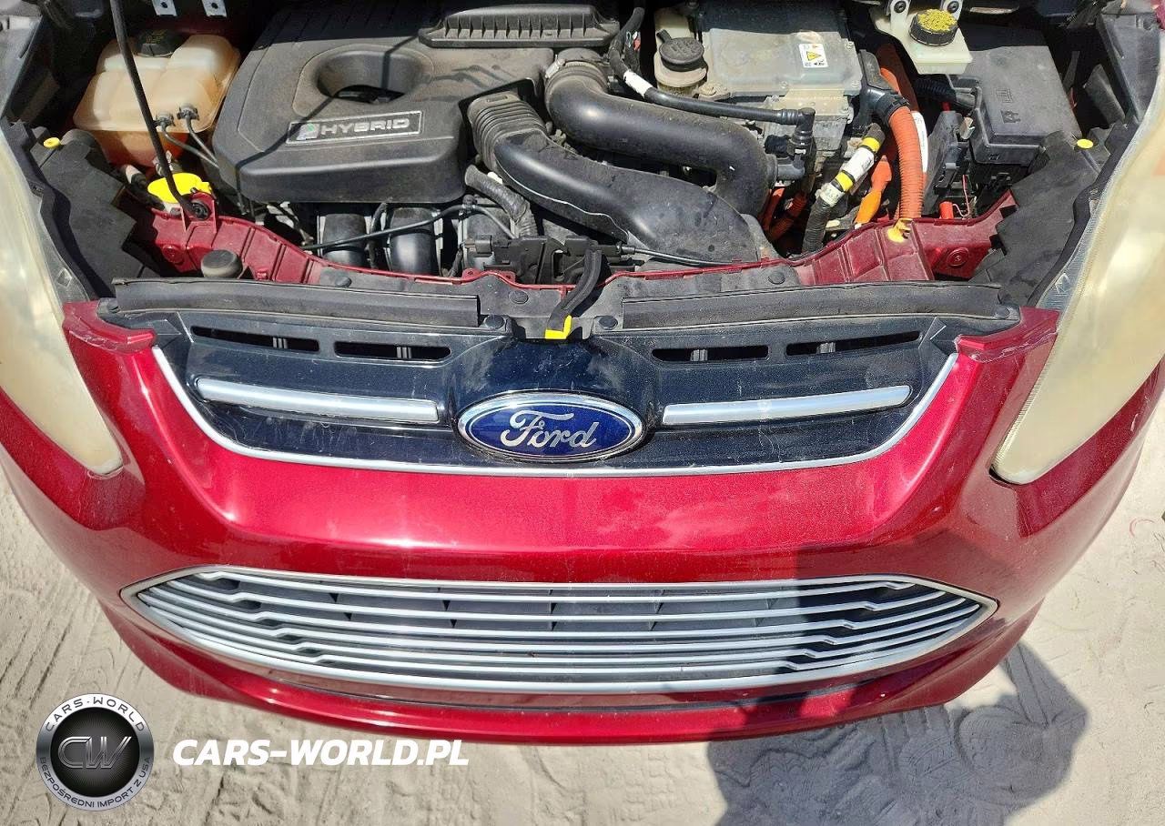 2014 Ford C-Max Sel VIN:1FADP5BU4EL515525 - 12