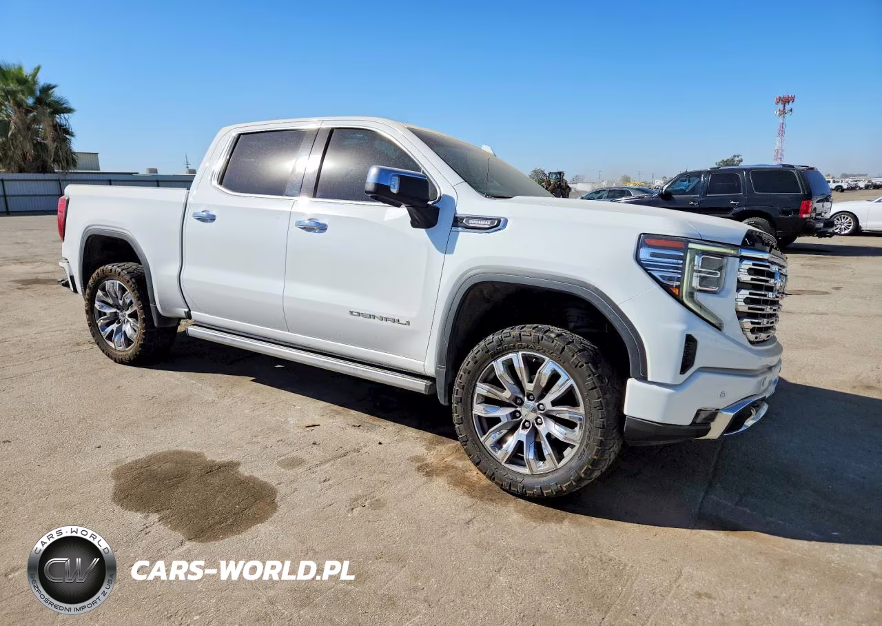 2022 GMC Sierra K1500 Denali VIN:3GTUUGET8NG613973 - 4