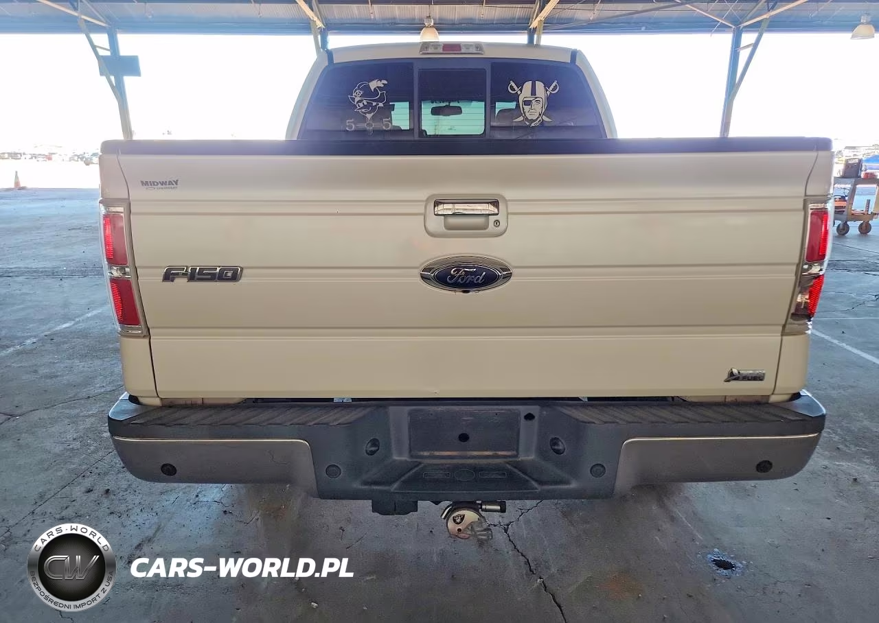 2010 Ford F150 Supercrew VIN:1FTFW1CV6AKA58139 - 6