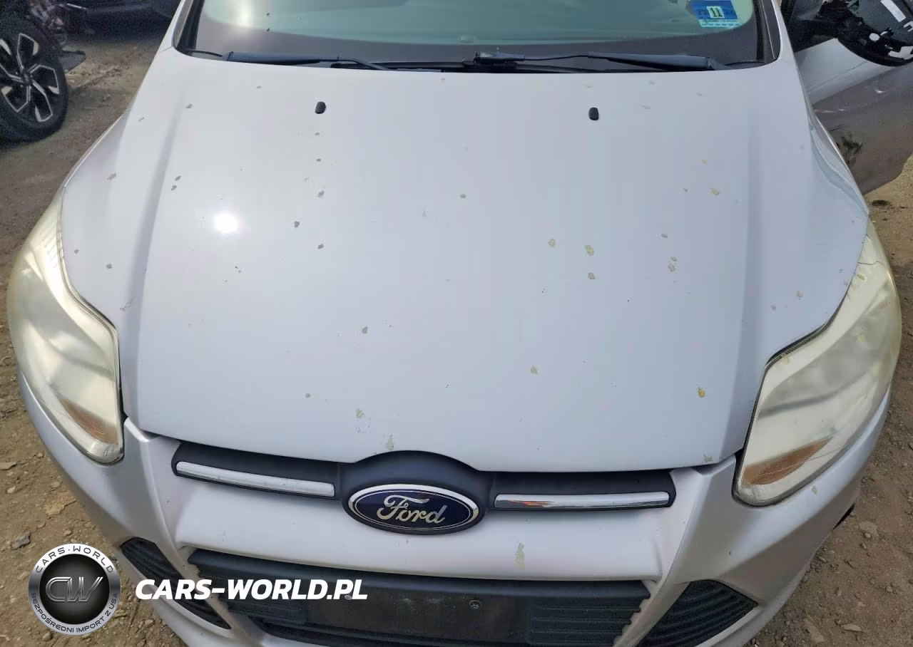 2013 Ford Focus S VIN:1FADP3E27DL118680 - 11