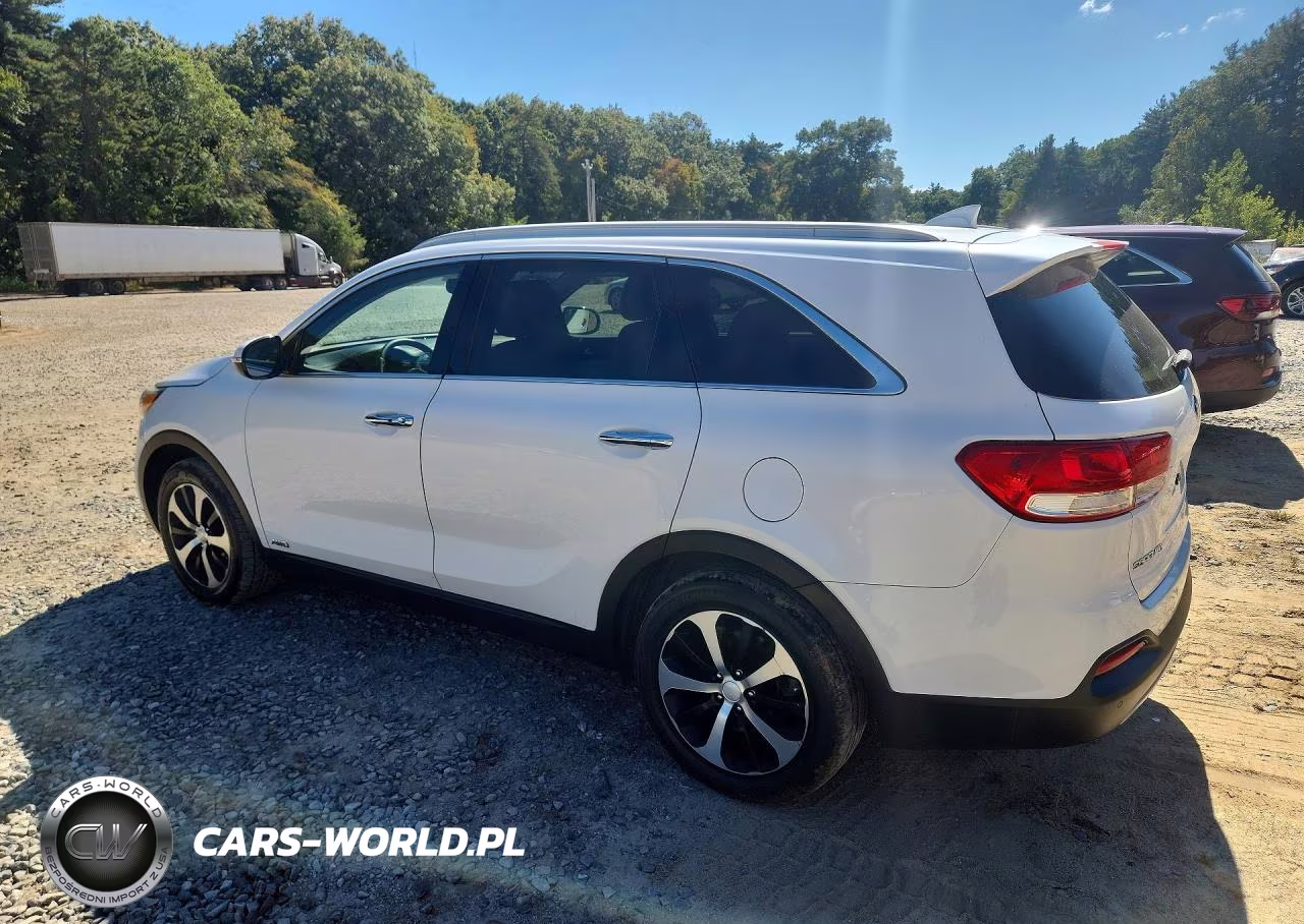 2016 Kia Sorento Ex VIN:5XYPHDA18GG030020 - 2
