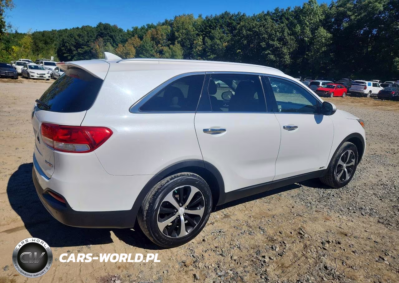 2016 Kia Sorento Ex VIN:5XYPHDA18GG030020 - 3