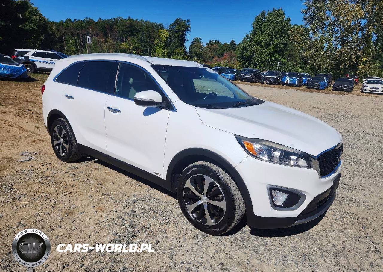 2016 Kia Sorento Ex VIN:5XYPHDA18GG030020 - 4