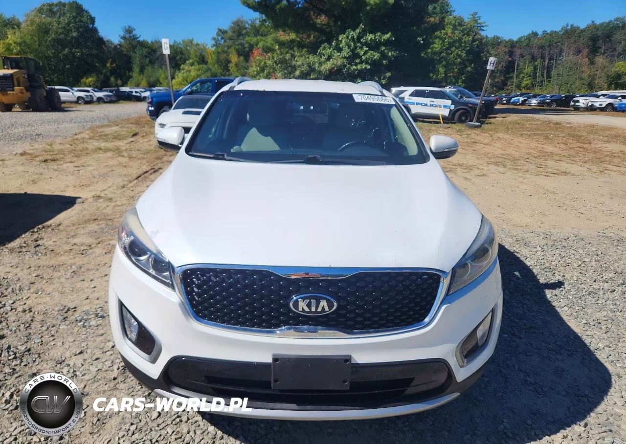 2016 Kia Sorento Ex VIN:5XYPHDA18GG030020 - 5