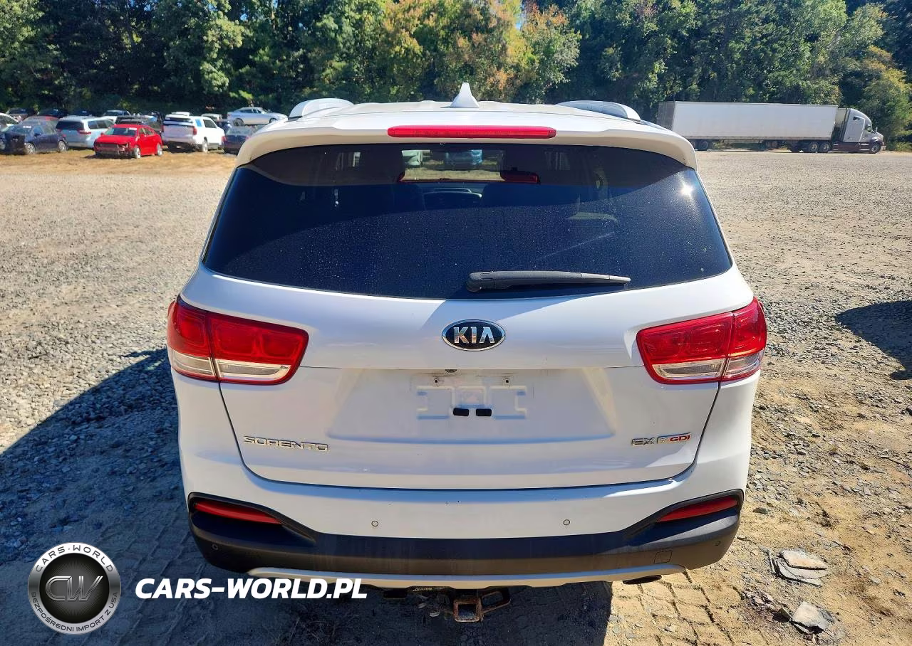 2016 Kia Sorento Ex VIN:5XYPHDA18GG030020 - 6