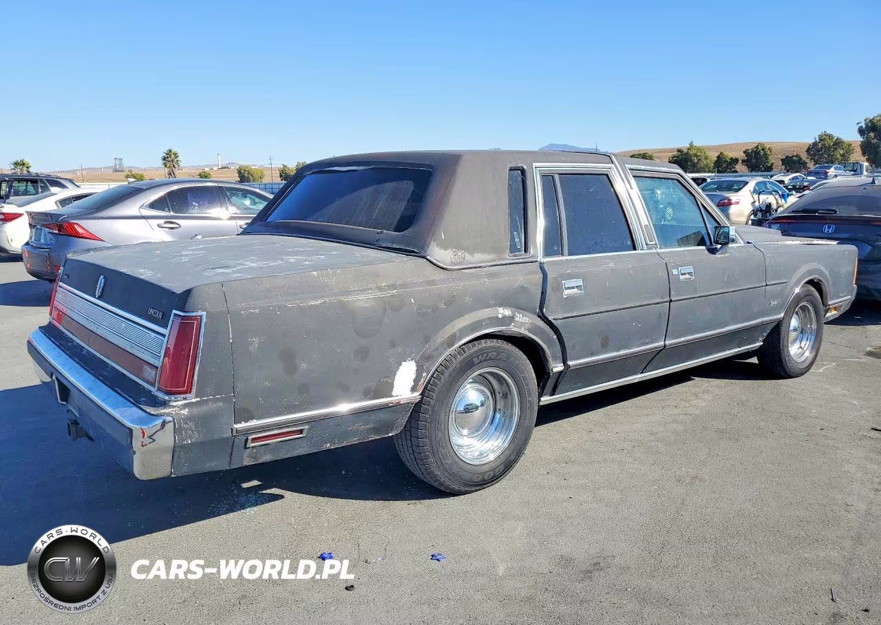 1989 Lincoln Town Car VIN:1LNBM81F6KY799667 - 3