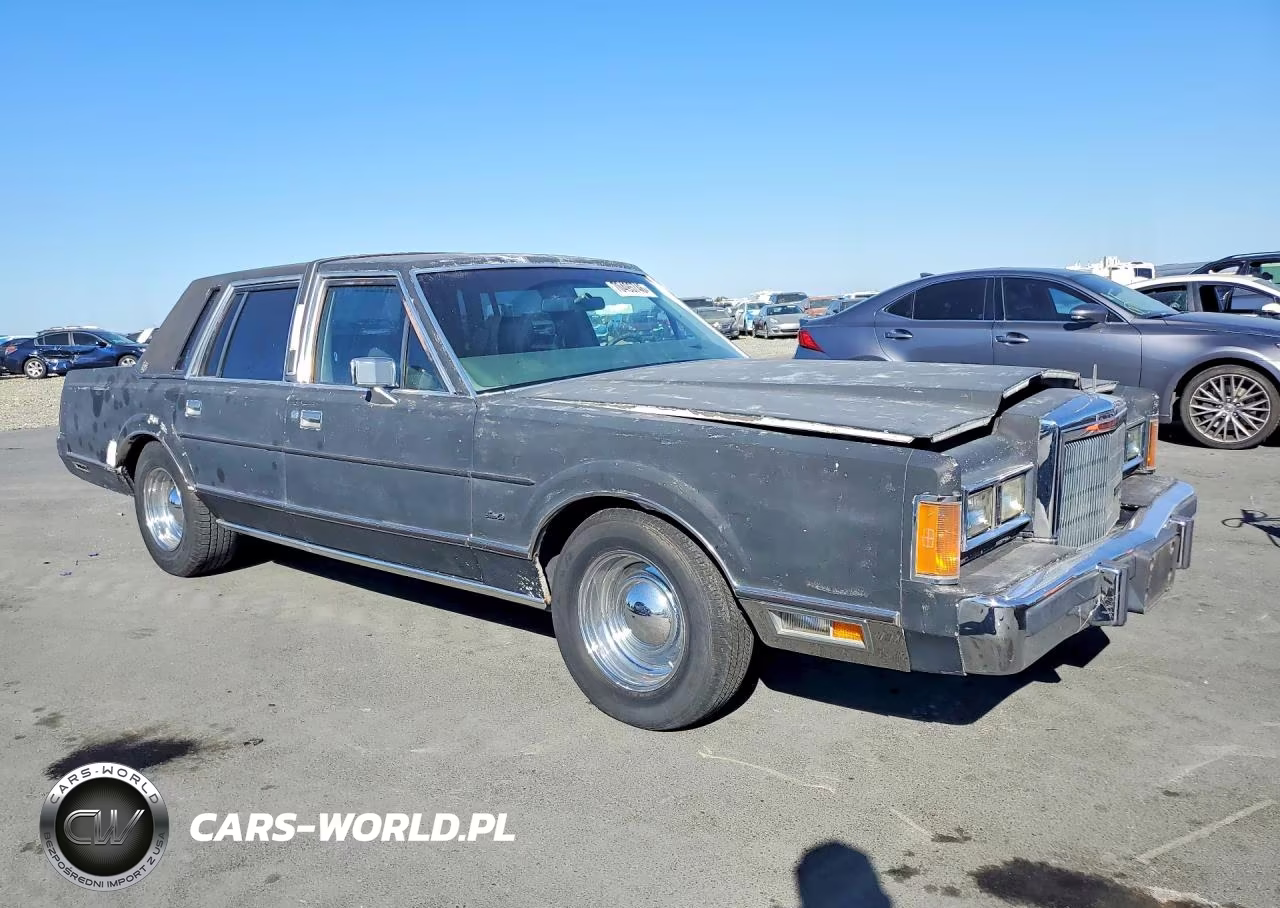 1989 Lincoln Town Car VIN:1LNBM81F6KY799667 - 4