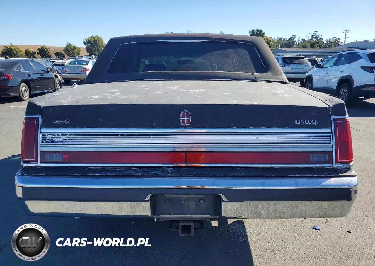 1989 Lincoln Town Car VIN:1LNBM81F6KY799667 - 6