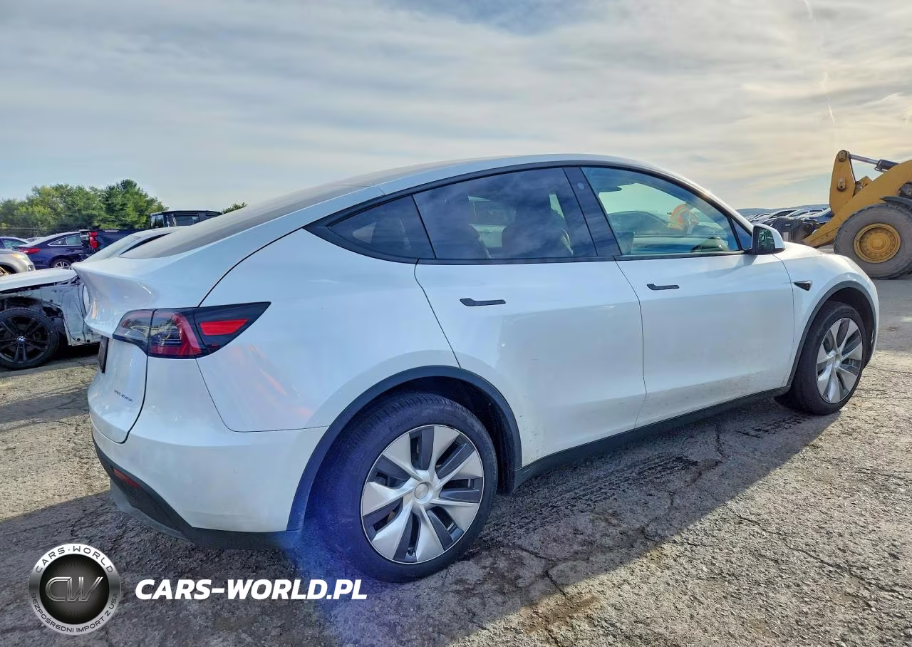 2023 Tesla Model Y VIN:7SAYGDEE1PA111761 - 3