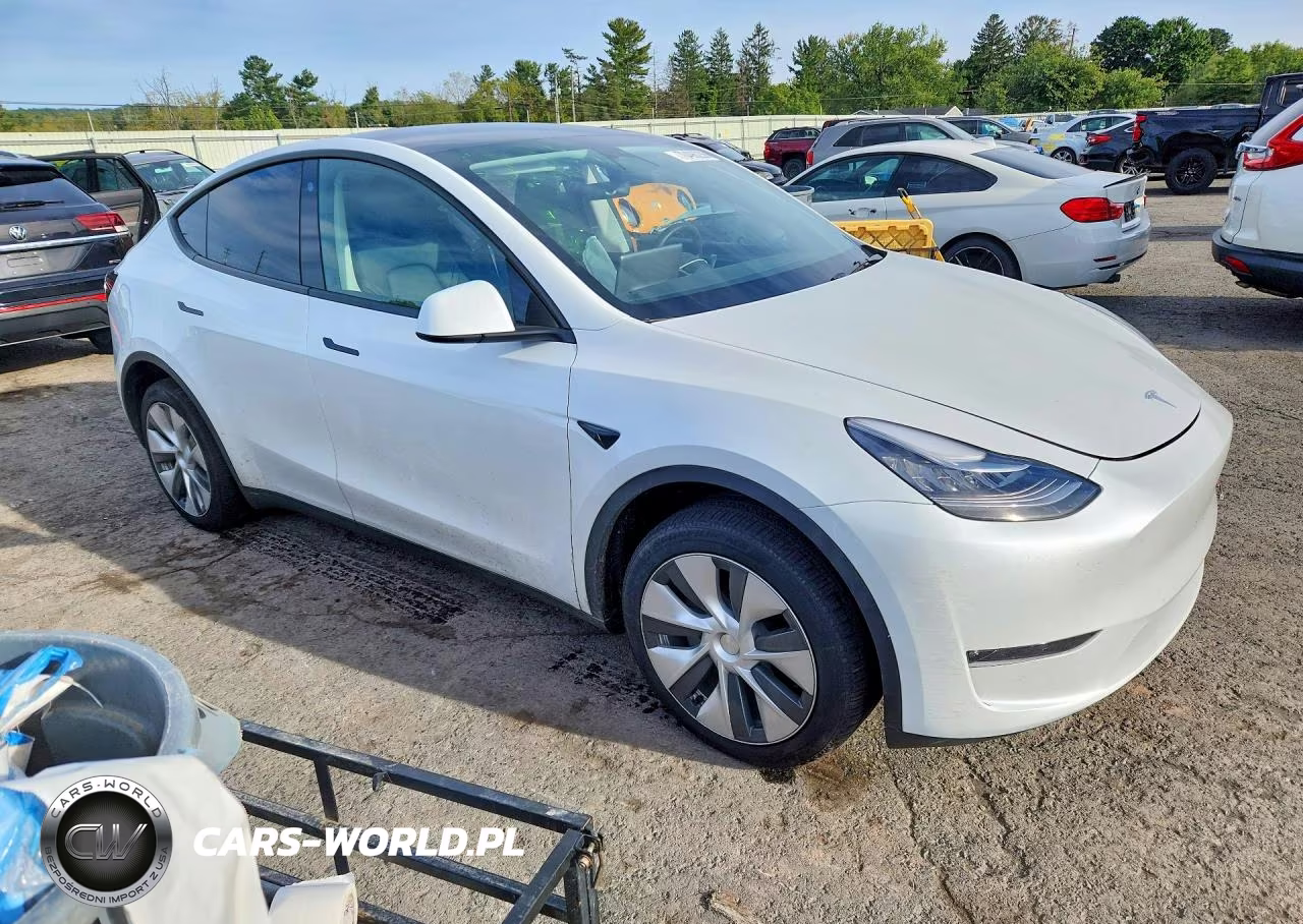 2023 Tesla Model Y VIN:7SAYGDEE1PA111761 - 4