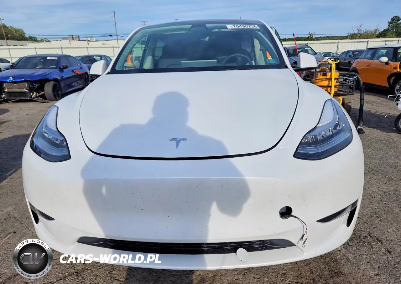 2023 Tesla Model Y VIN:7SAYGDEE1PA111761 - 5