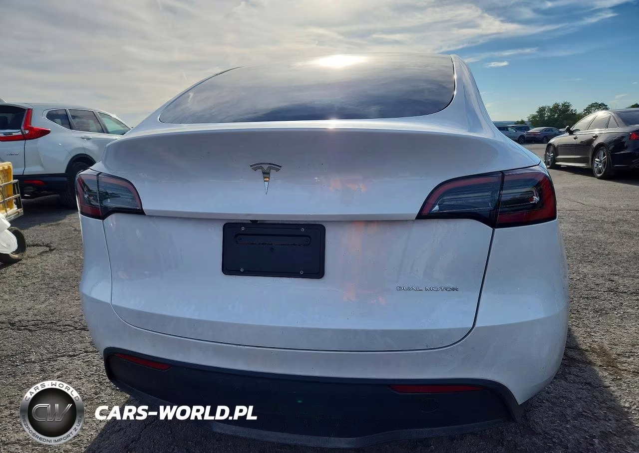 2023 Tesla Model Y VIN:7SAYGDEE1PA111761 - 6