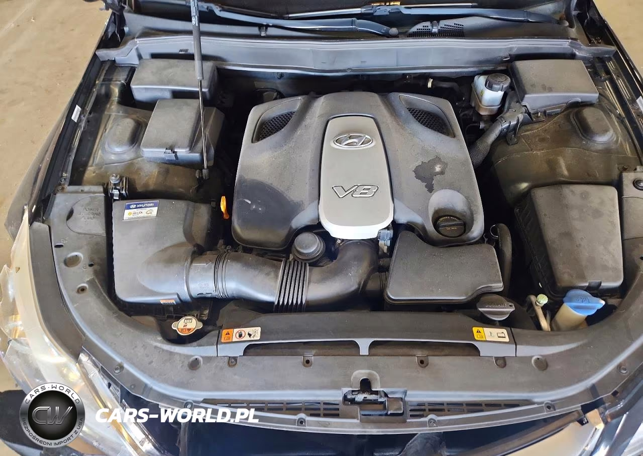 2012 Hyundai Genesis 4.6L VIN:KMHGC4DF1CU208375 - 11