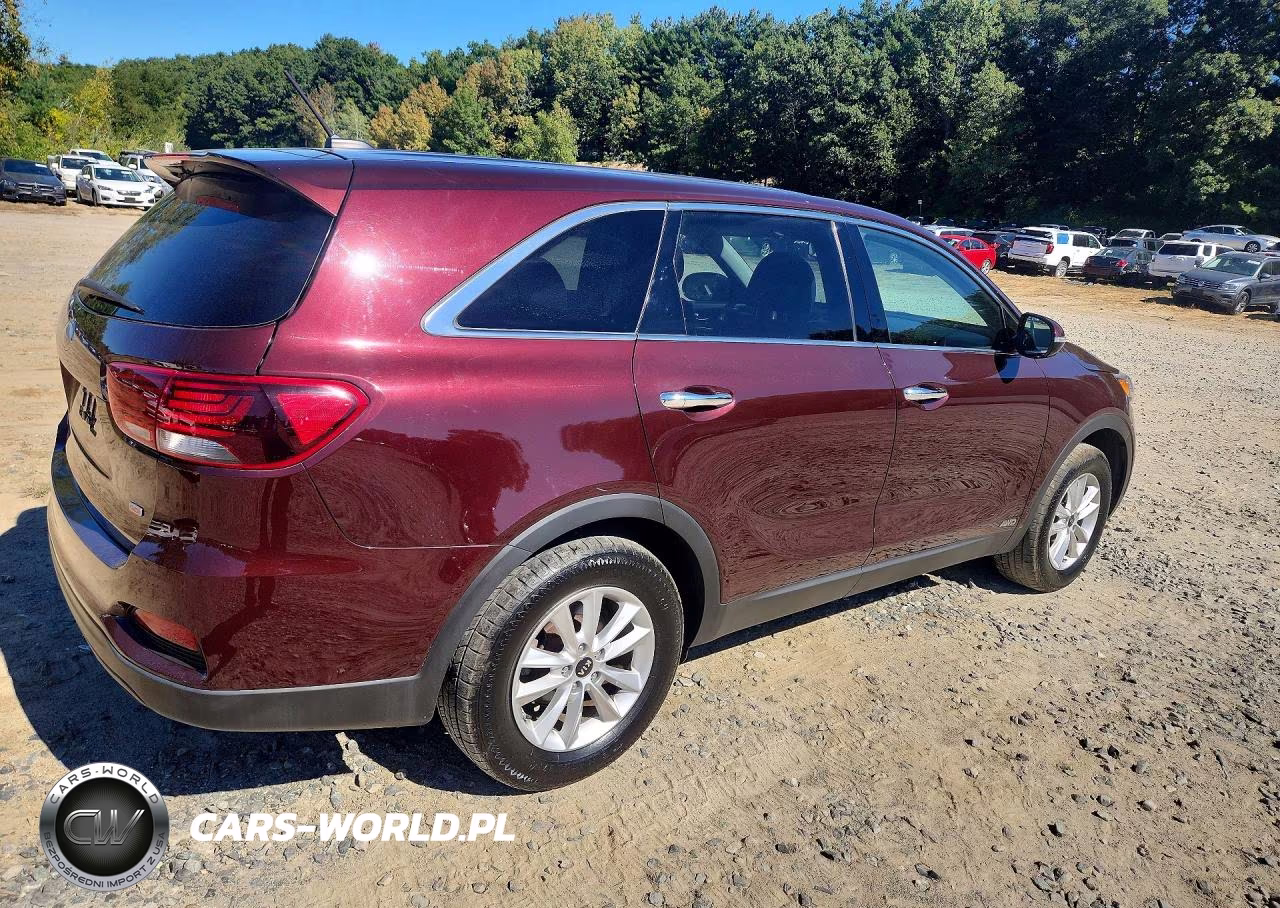 2019 Kia Sorento Lx VIN:5XYPGDA35KG466854 - 3