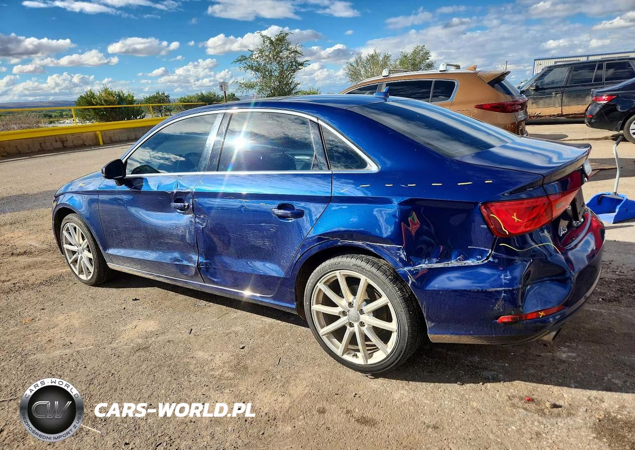 2015 Audi A3 Premium Plus VIN:WAUEFGFF3F1113806 - 2