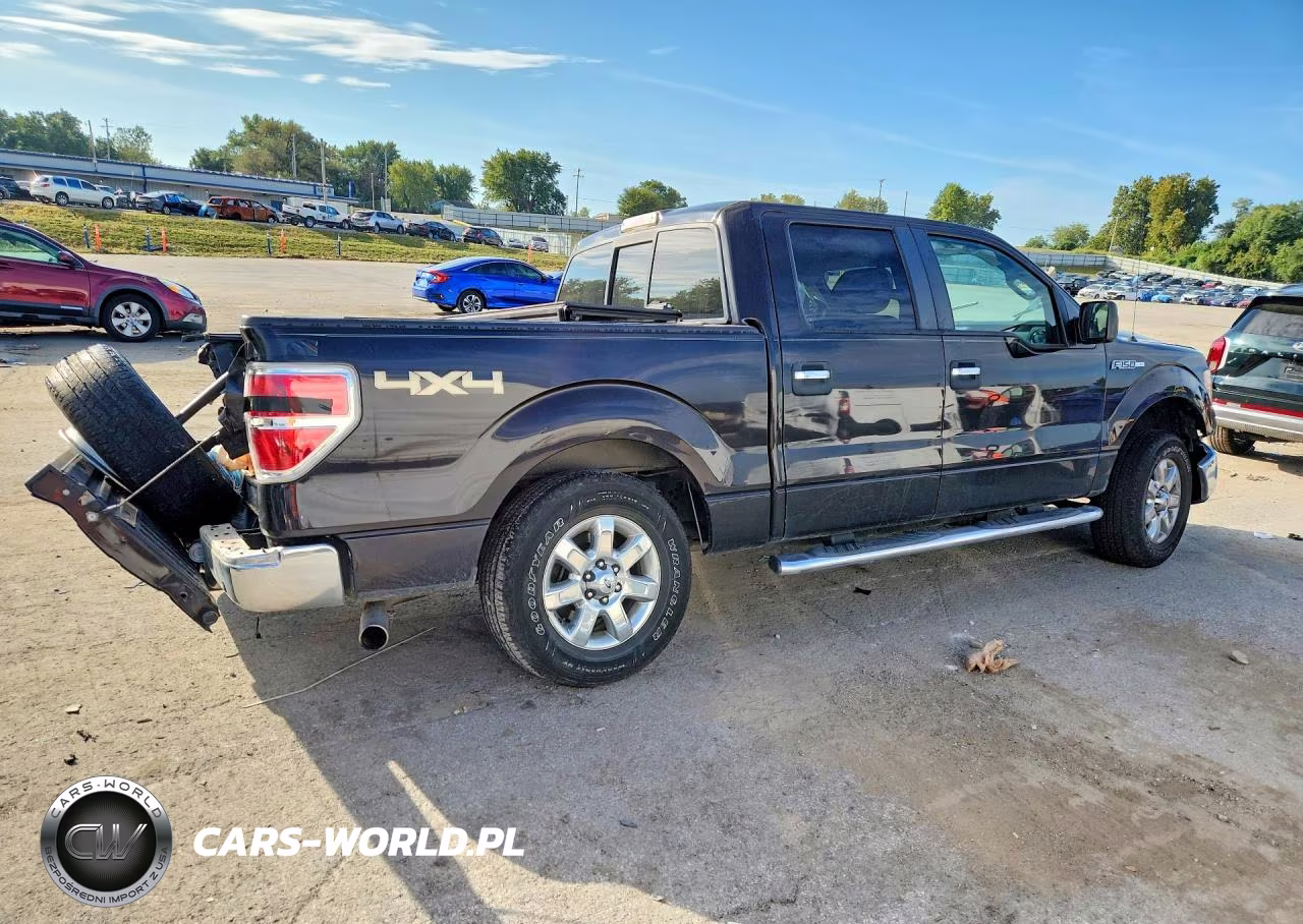 2013 Ford F150 Supercrew VIN:1FTFW1EF6DKE97951 - 3