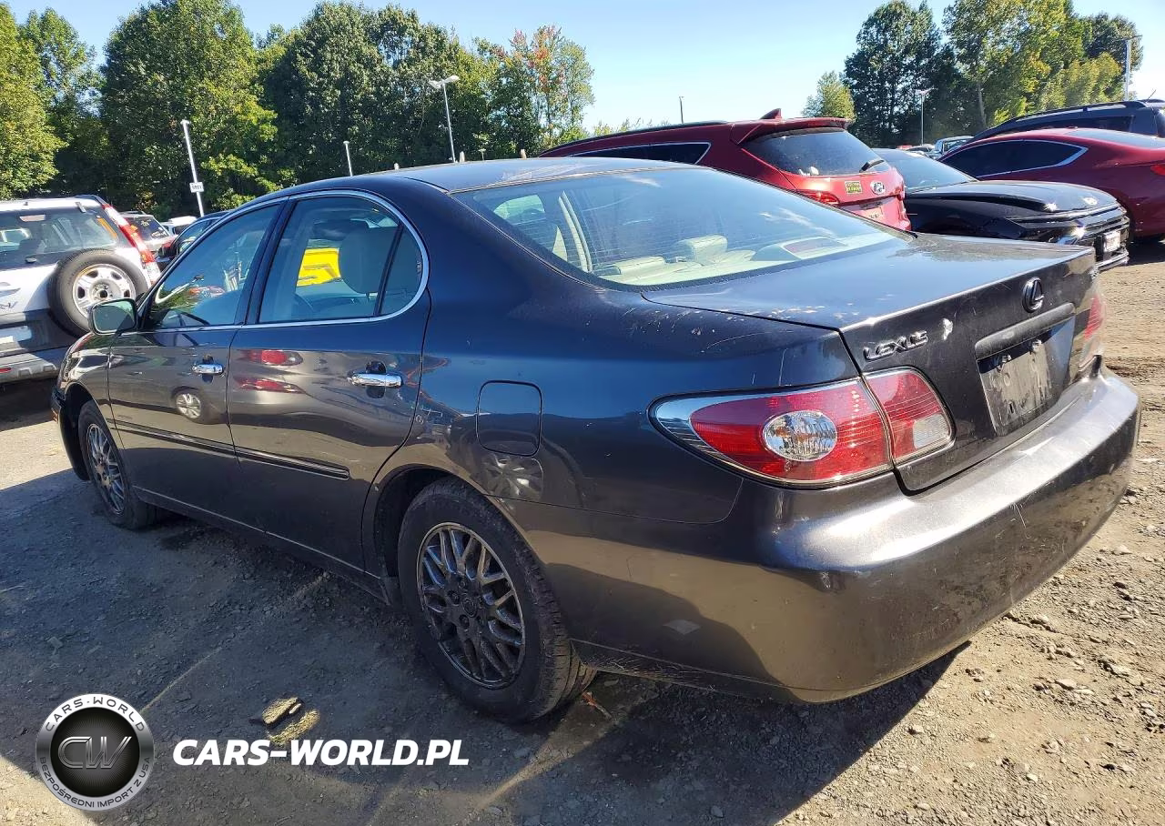 2004 Lexus Es 330 VIN:JTHBA30G845034652 - 2