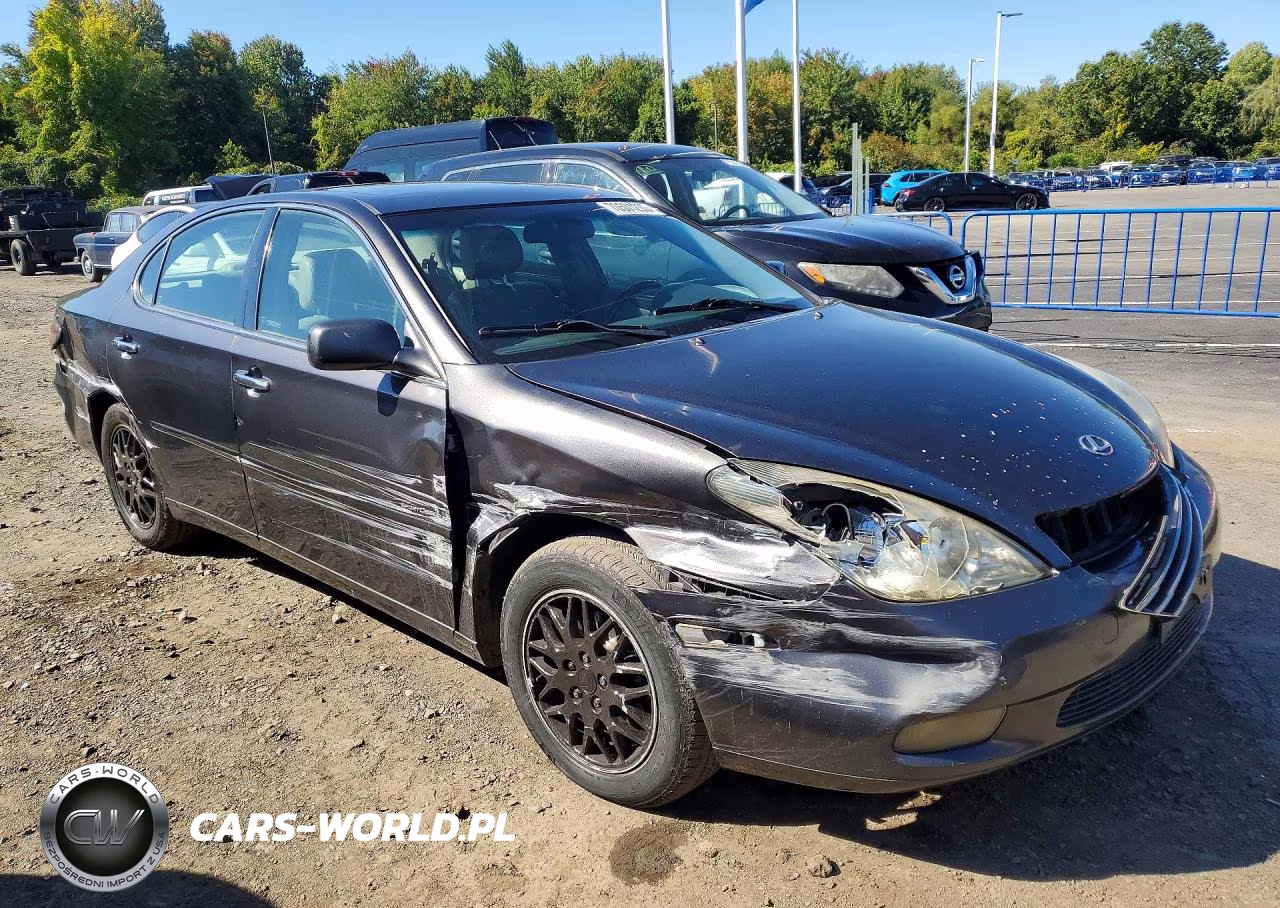 2004 Lexus Es 330 VIN:JTHBA30G845034652 - 4