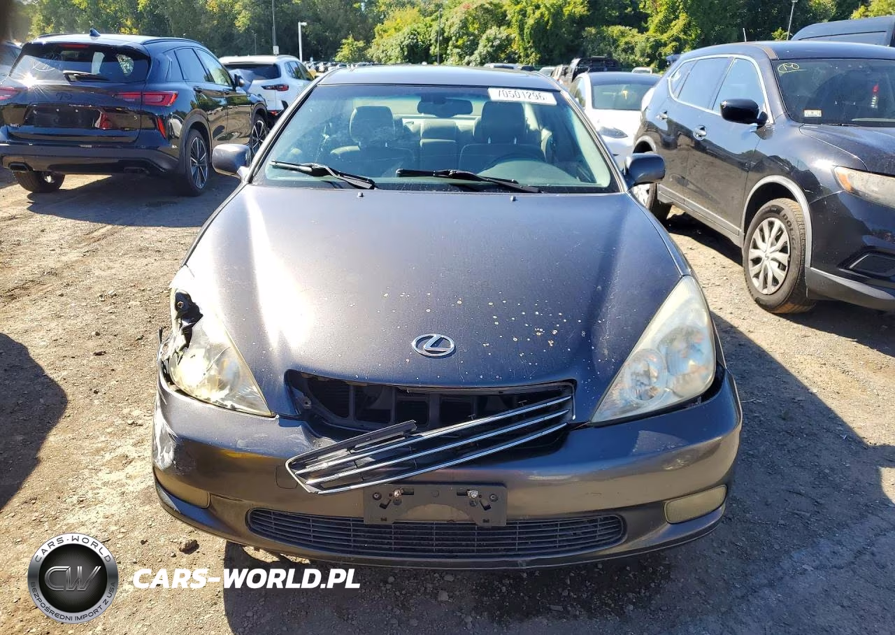 2004 Lexus Es 330 VIN:JTHBA30G845034652 - 5