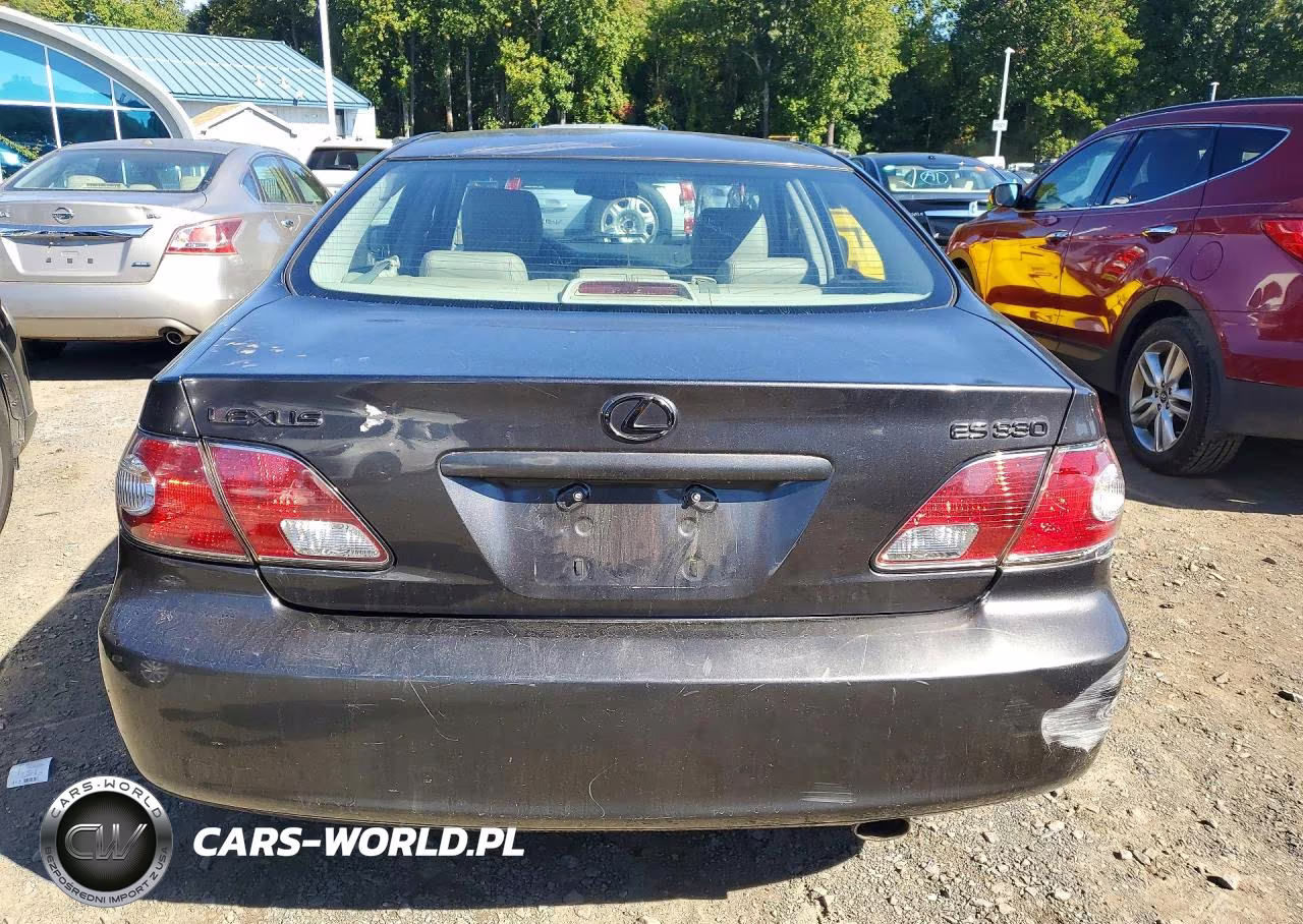 2004 Lexus Es 330 VIN:JTHBA30G845034652 - 6
