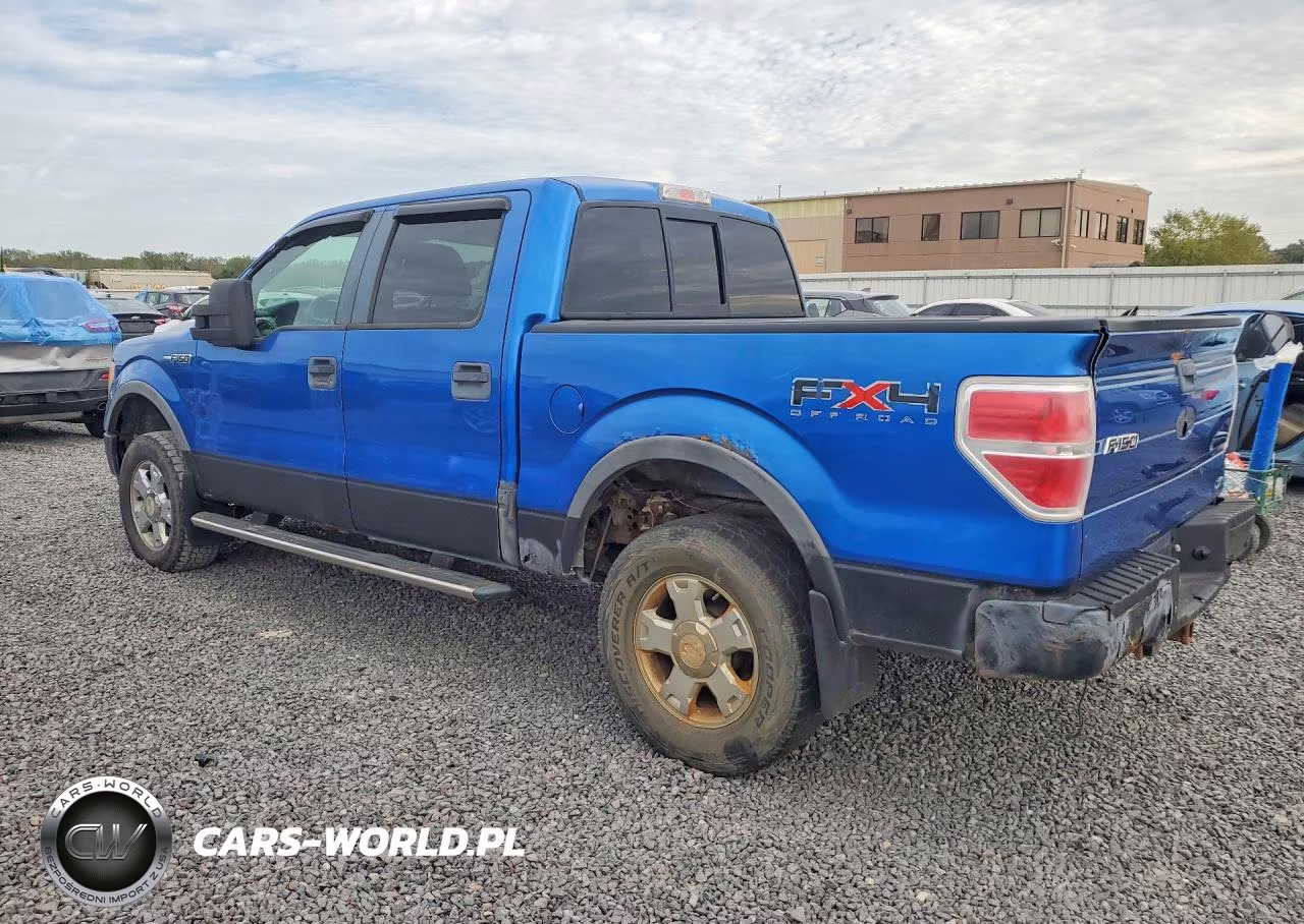 2010 Ford F150 Supercrew VIN:1FTFW1EV2AFA40663 - 2