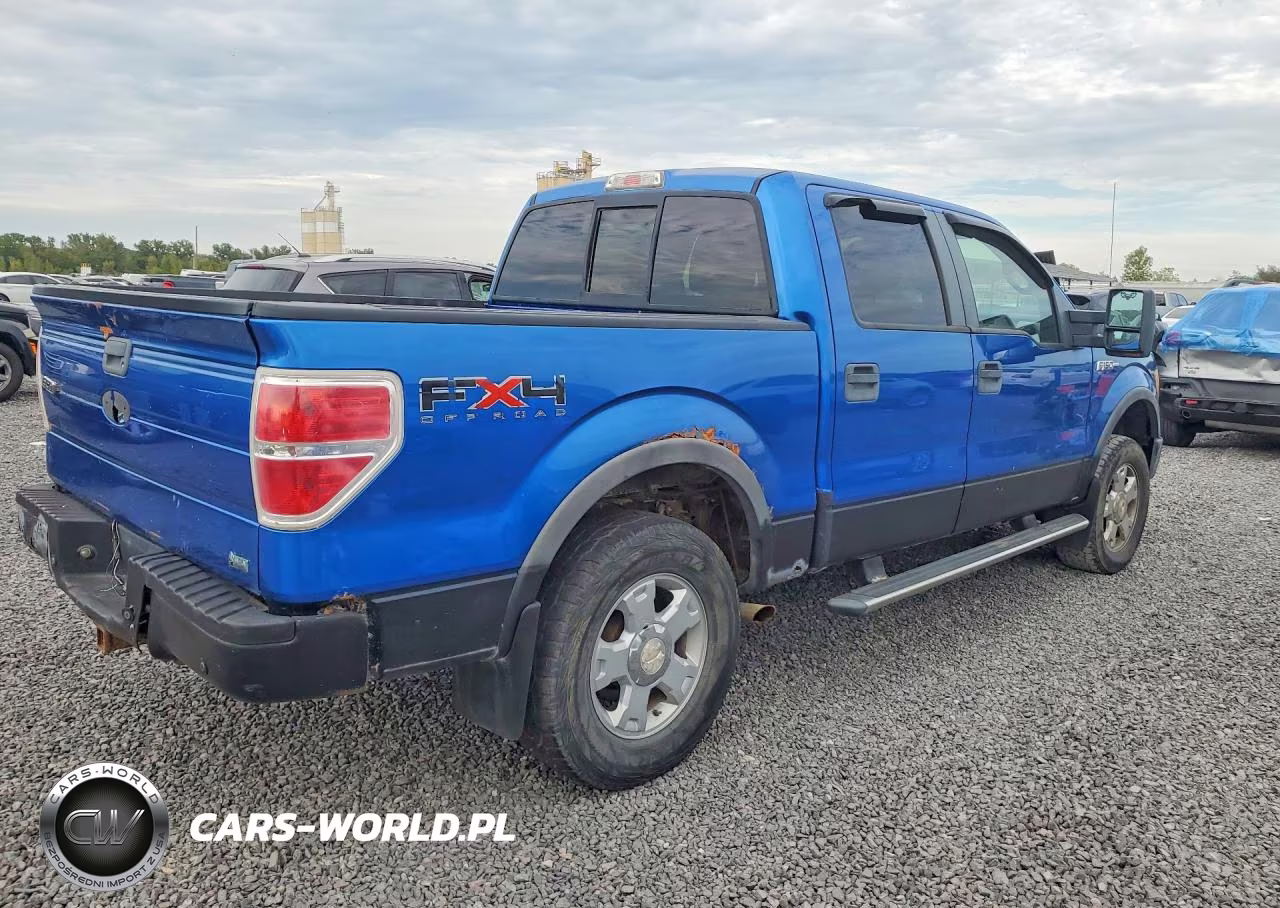 2010 Ford F150 Supercrew VIN:1FTFW1EV2AFA40663 - 3