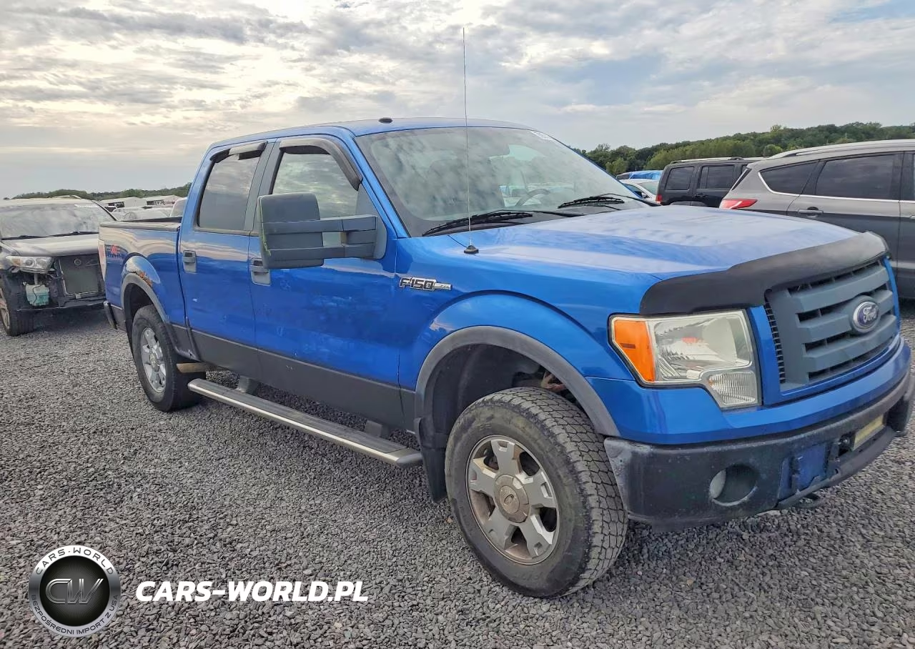 2010 Ford F150 Supercrew VIN:1FTFW1EV2AFA40663 - 4