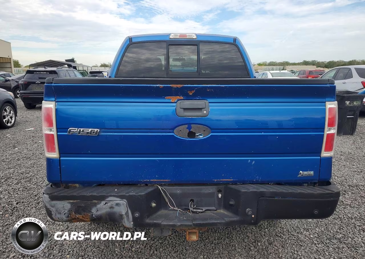 2010 Ford F150 Supercrew VIN:1FTFW1EV2AFA40663 - 6