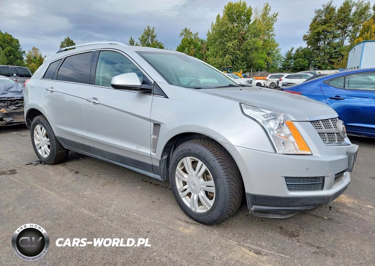 2010 Cadillac Srx Luxury Collection VIN:3GYFNAEY5AS579264 - 4
