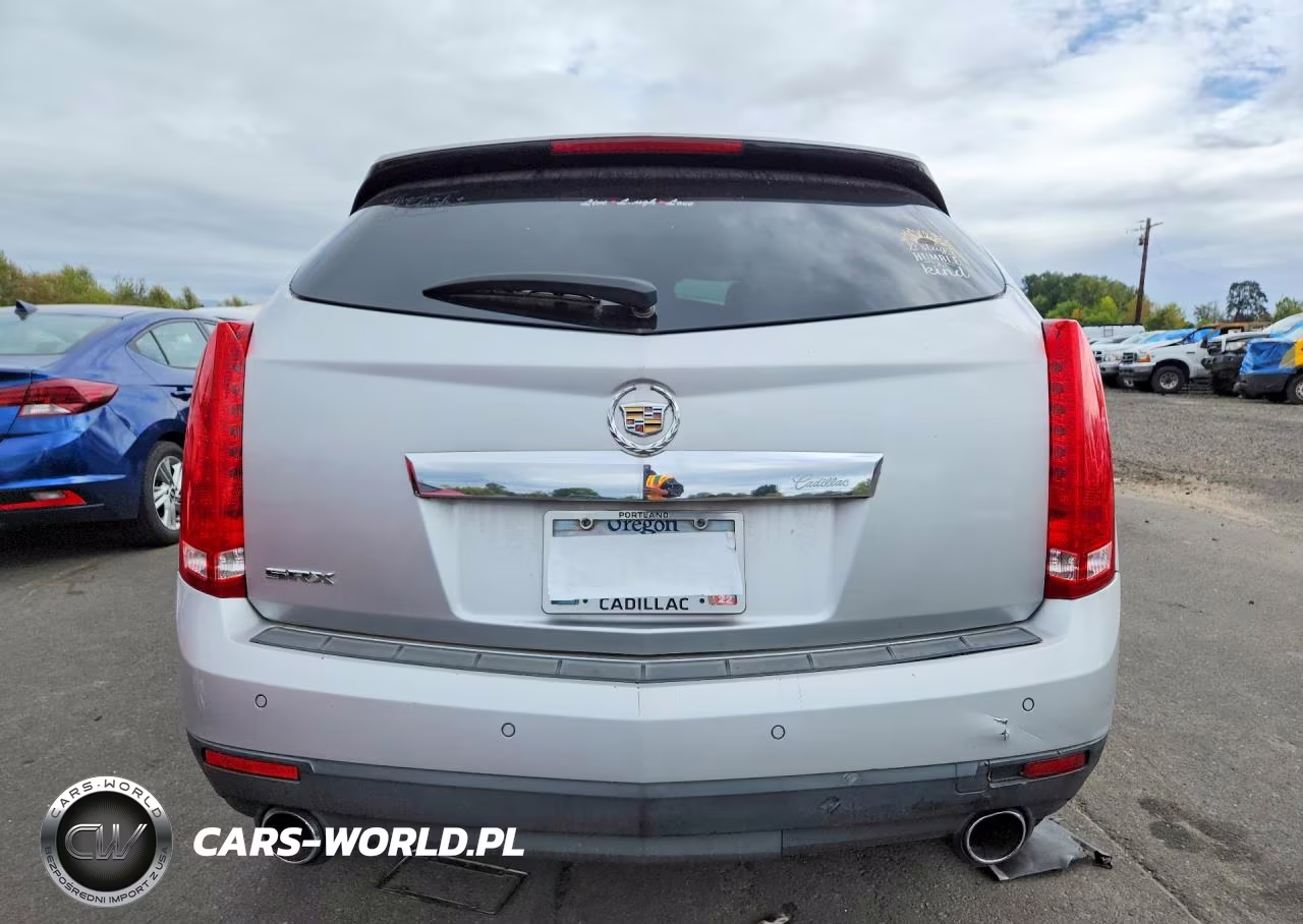 2010 Cadillac Srx Luxury Collection VIN:3GYFNAEY5AS579264 - 6