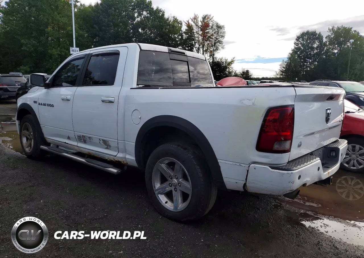 2011 Dodge Ram 1500 VIN:1D7RV1CT1BS589836 - 2
