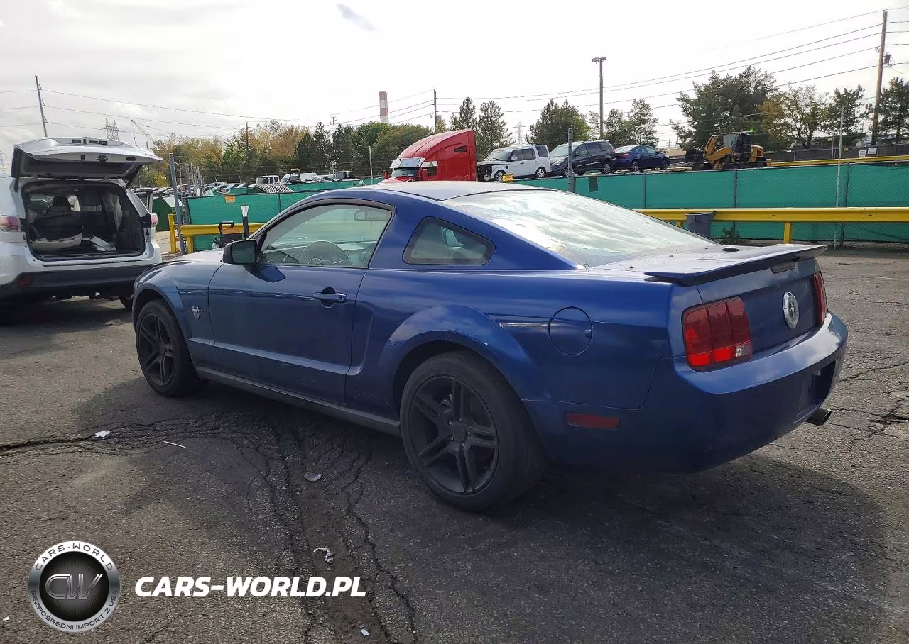 2009 Ford Mustang VIN:1ZVHT80N295131299 - 2