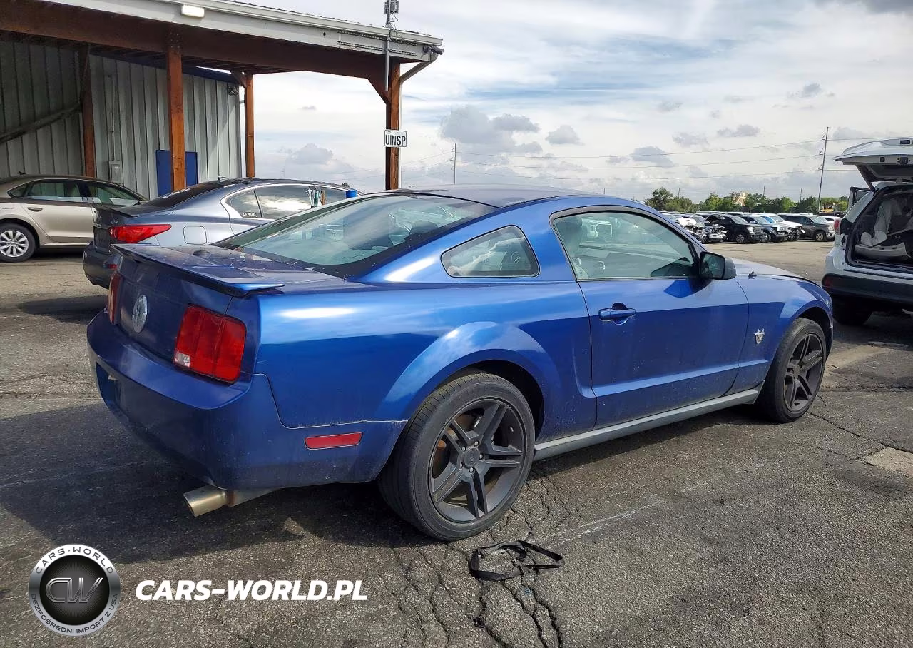 2009 Ford Mustang VIN:1ZVHT80N295131299 - 3