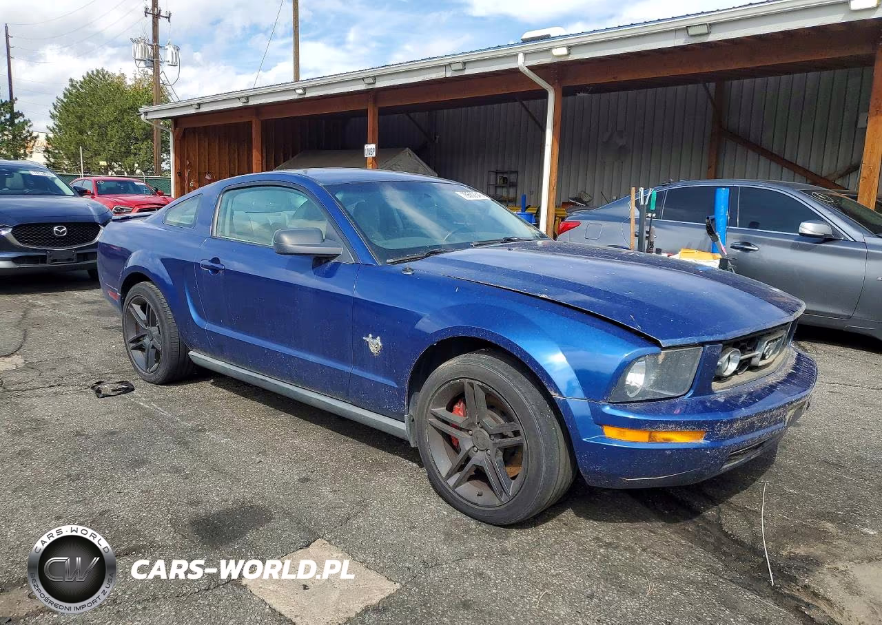 2009 Ford Mustang VIN:1ZVHT80N295131299 - 4