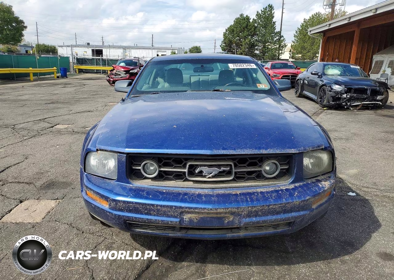 2009 Ford Mustang VIN:1ZVHT80N295131299 - 5