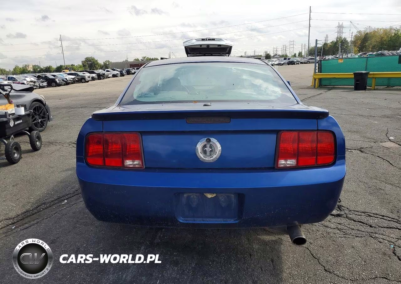 2009 Ford Mustang VIN:1ZVHT80N295131299 - 6