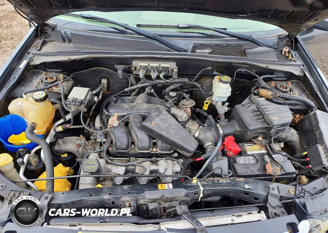 2008 Ford Escape Xlt VIN:1FMCU03178KD98972 - 12