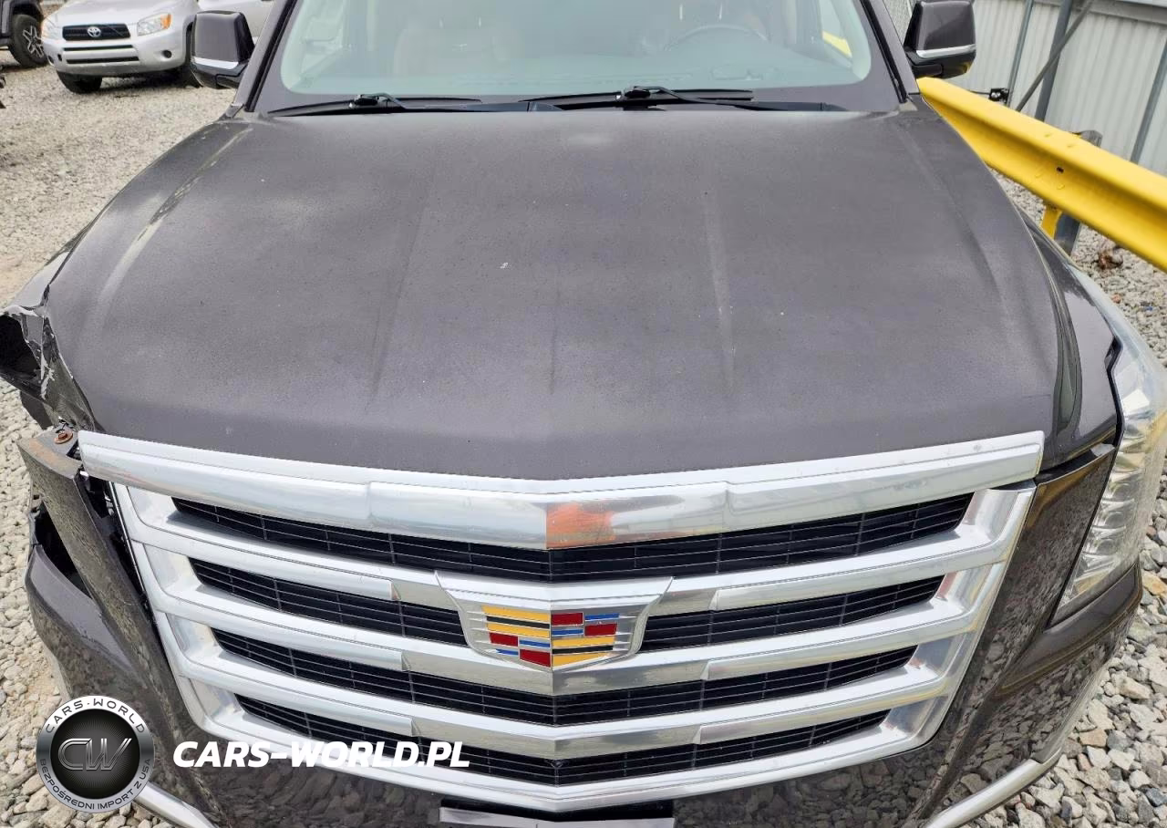 2016 Cadillac Escalade Esv Luxury VIN:1GYS4HKJ8GR296211 - 12