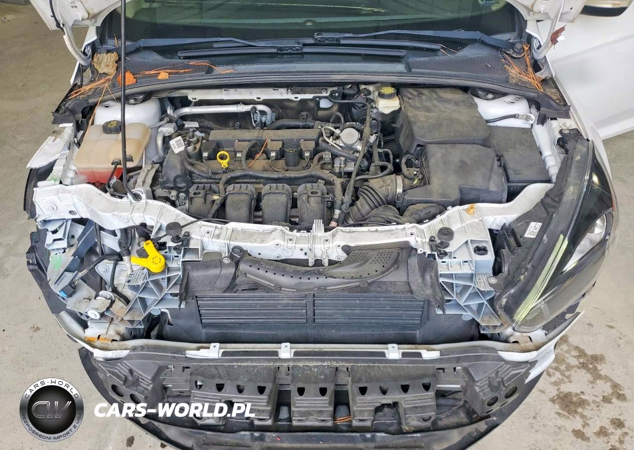 2017 Ford Focus Sel VIN:1FADP3M25HL213049 - 11