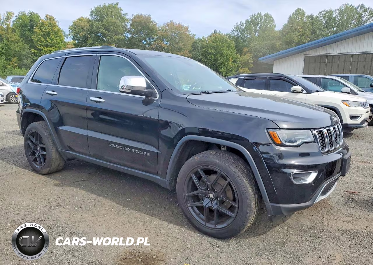 2019 Jeep Grand Cherokee Limited VIN:1C4RJFBGXKC808861 - 4