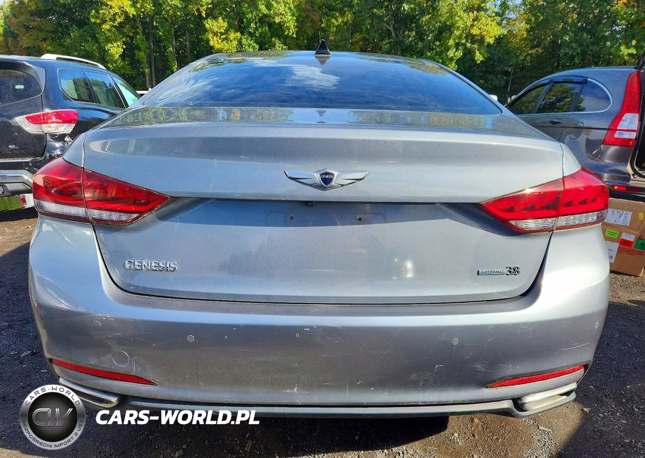 2015 Hyundai Genesis 3.8L VIN:KMHGN4JE4FU081728 - 6